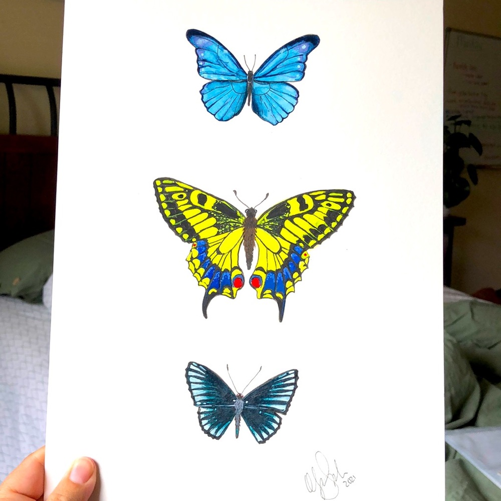 Butterfly Paintings! Original hand painted.